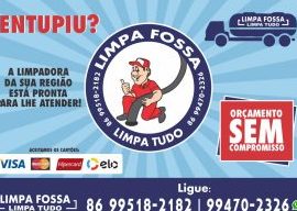 limpa tudo disk fossa timon